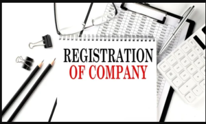 Online Company Registration In Pune